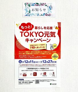 QRコード決済で商品購入すると、
決済額の最大10%のポイントを
還元する
#もっと暮らしを応援 
#TOKYO元気キャンペーン  を
このは整体院も
12月11日から27日（早期終了もあるようです）まで実施中です🎄  対象となるQRコード決済はauPAY、d払い、PayPayとなります🤗  #日野市
#整体 #骨盤 #女性